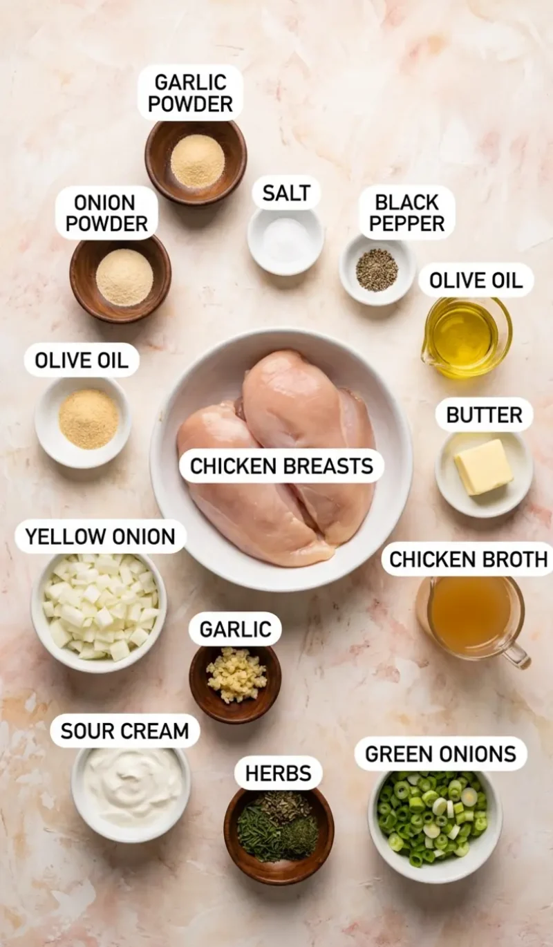 all 13 ingredients for sour cream and onion chicken arranged on a cream and blush plaster surface, each ingredient named